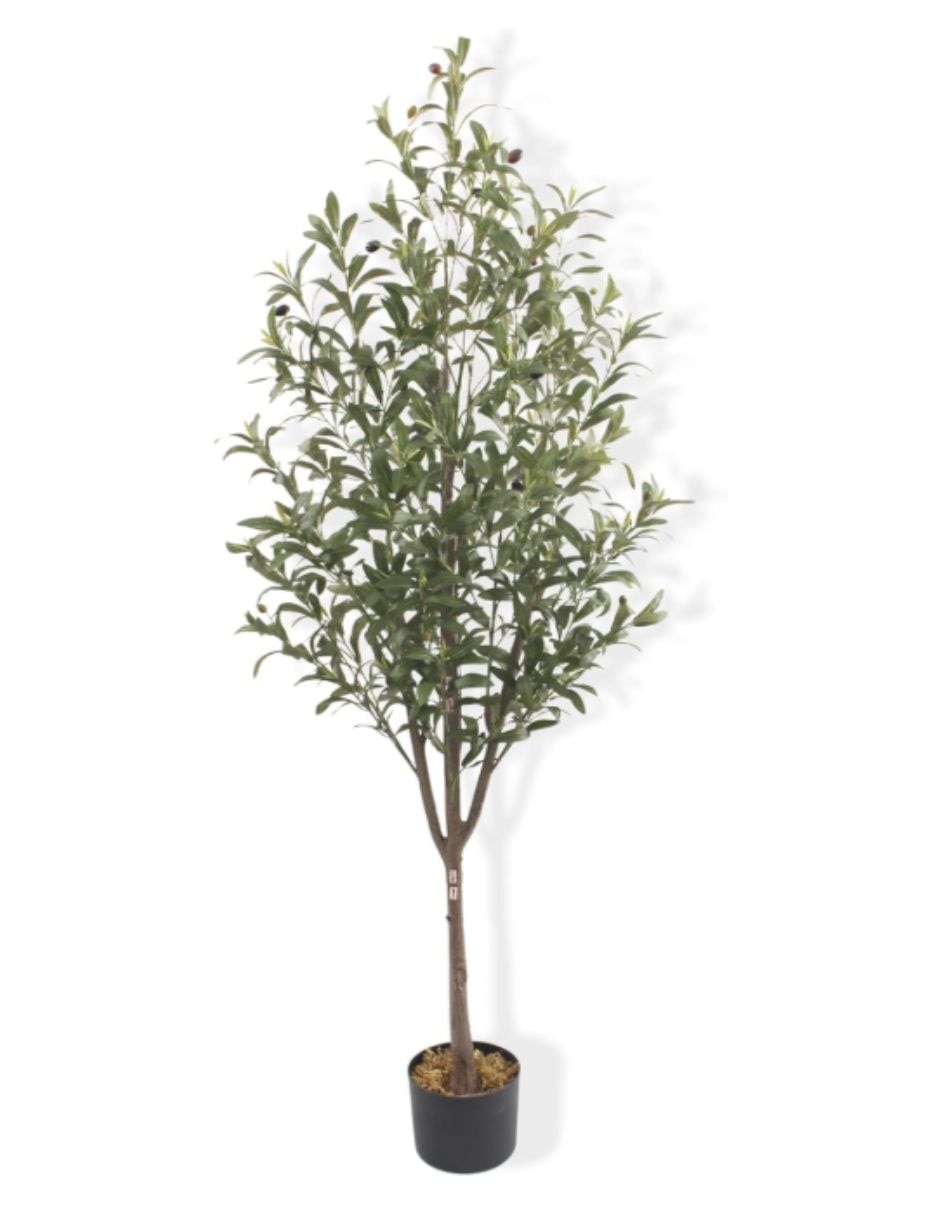 Olivo artificial colección